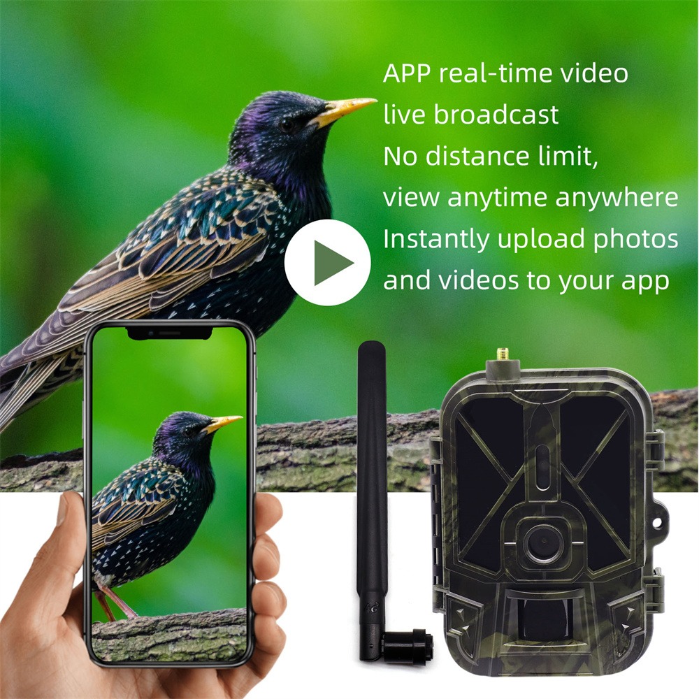 Outdoor 4G 120MP 4K Live Show  - مراجعة Hunting And Outdoor Shows وسعره