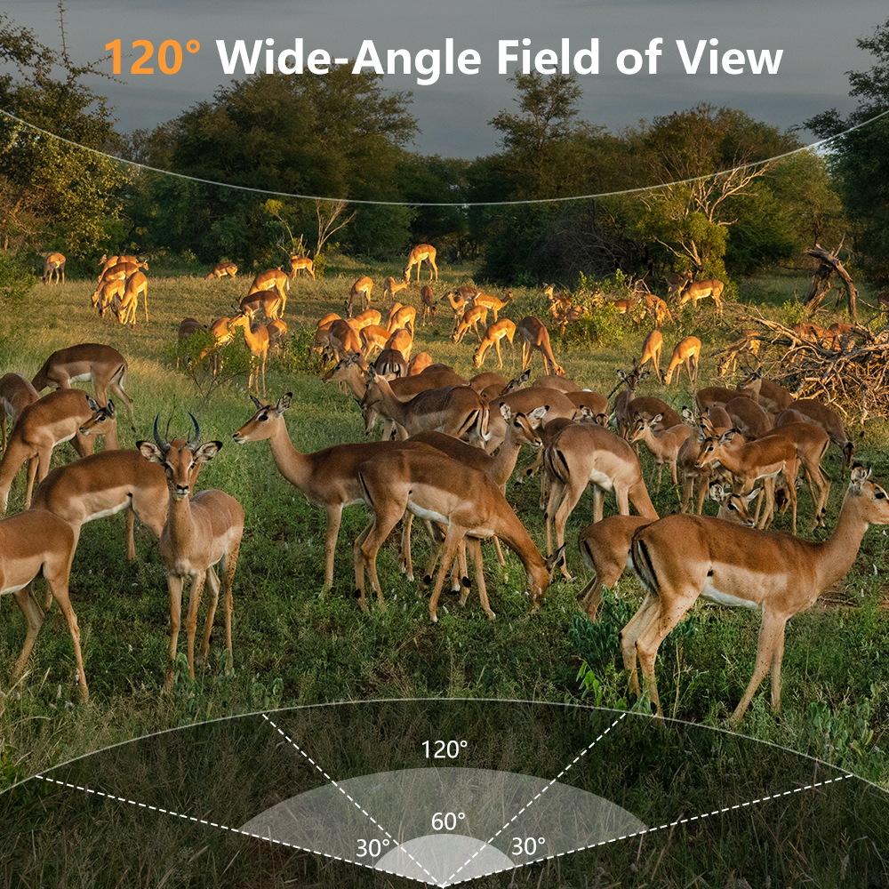 WiFi Trail Camera, 60MP Wildli - مراجعة Outdoor Hunting Video Camera وسعره