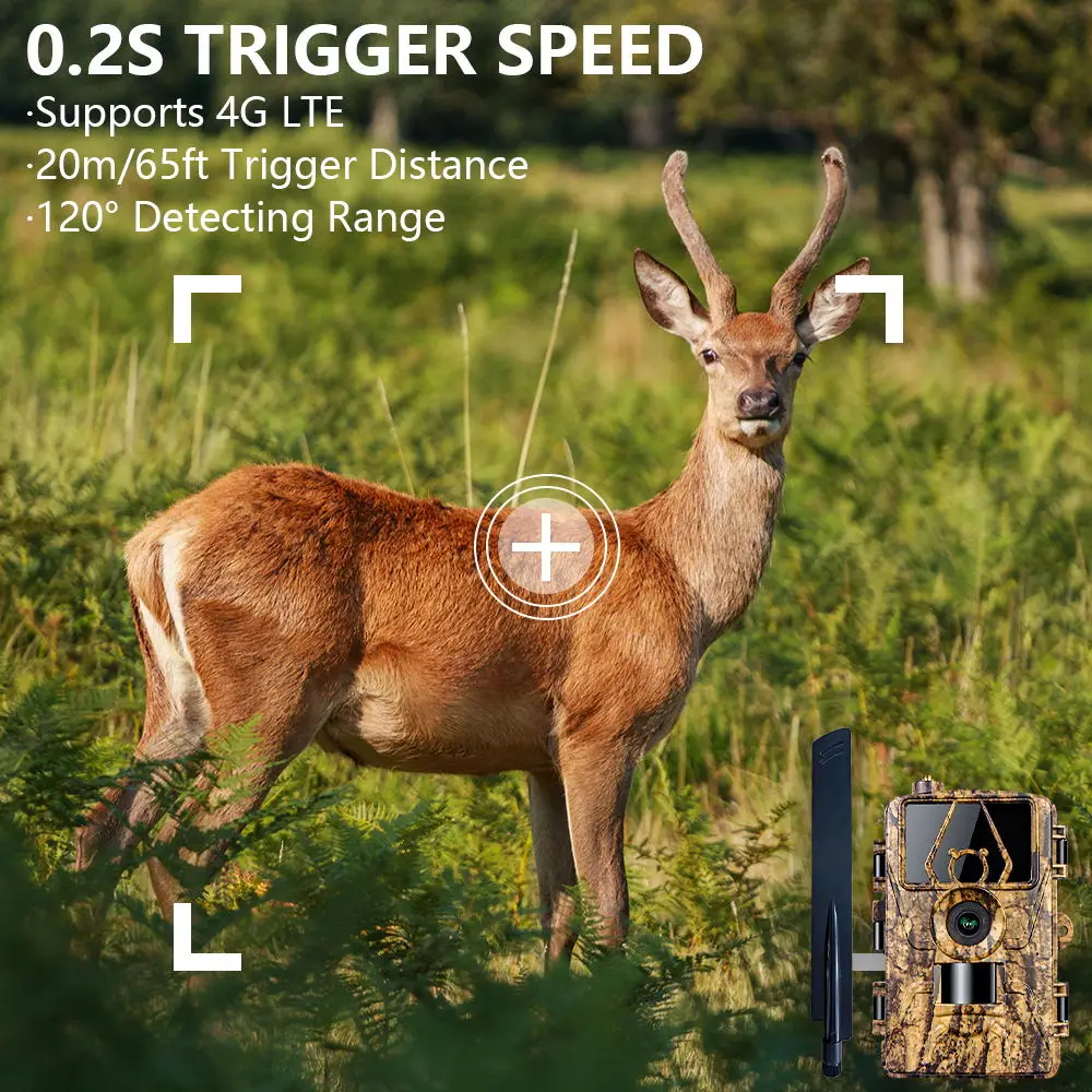 1Pcs HD8K Infrared Camera For  - مراجعة Outdoor Hunting Video Camera وسعره