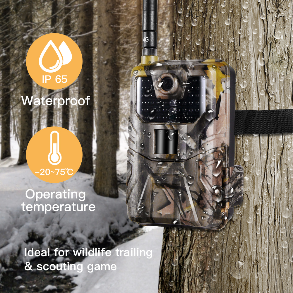 Wildlife Hunting Camera 20MP H - مراجعة Outdoor Hunting Video Camera وسعره