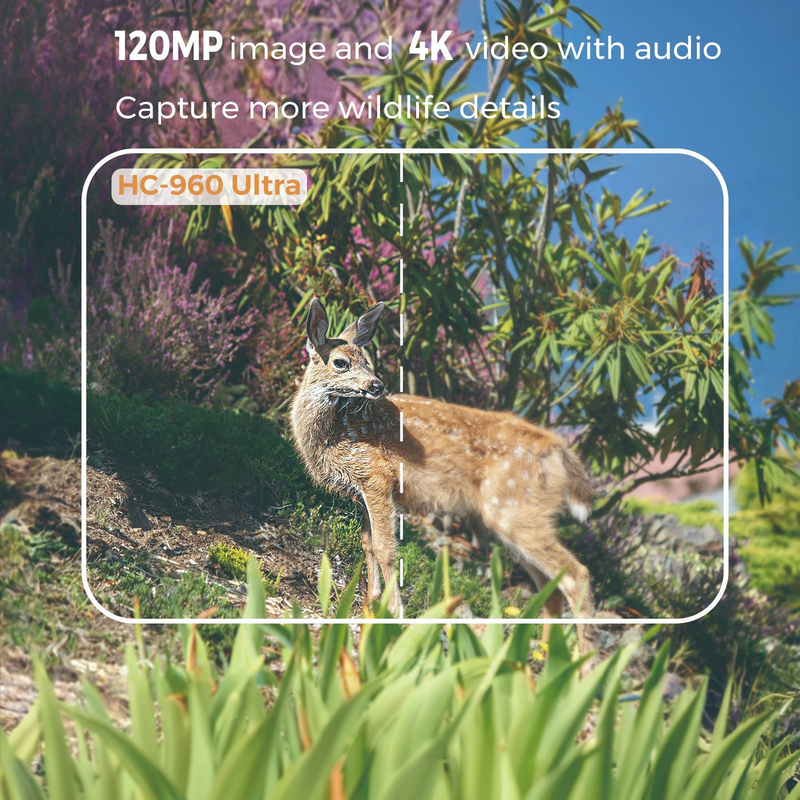 Outdoor 4K Video 120MP Photo 4 - مراجعة Outdoor Hunting Video Camera وسعره