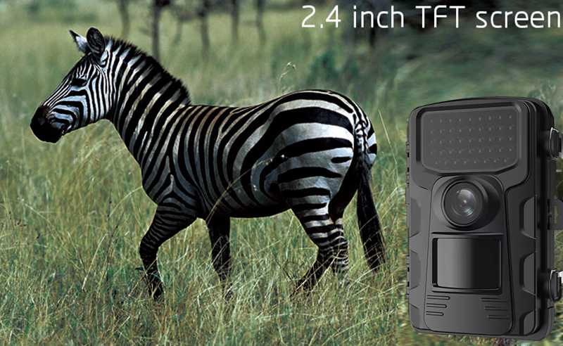 Outdoor Sports Hunting Cameras - مراجعة Outdoor Hunting Video Camera وسعره