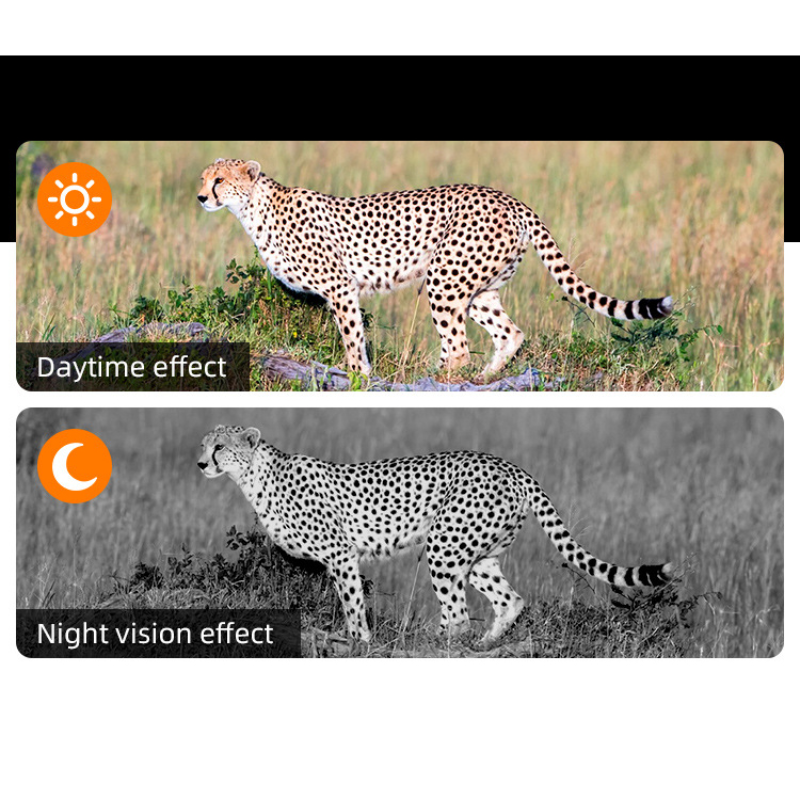5X Digital Zoom Monocular Devi - مراجعة Outdoor Hunting Digital Night Vision وسعره