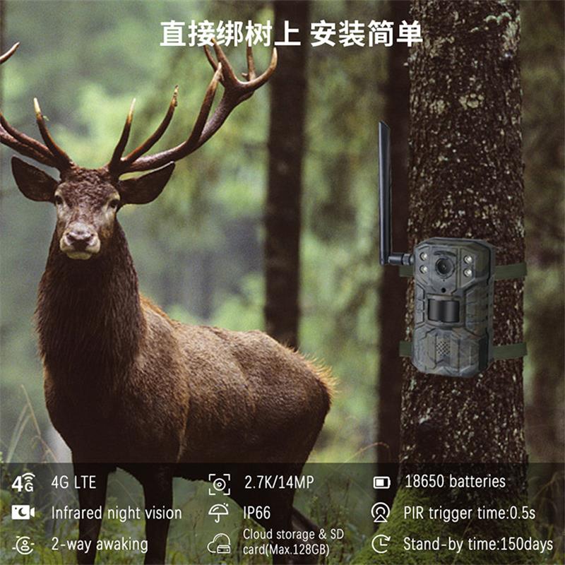 4G LTE Solar Hunting Trail Cam - مراجعة Outdoor Hunting Video Camera وسعره