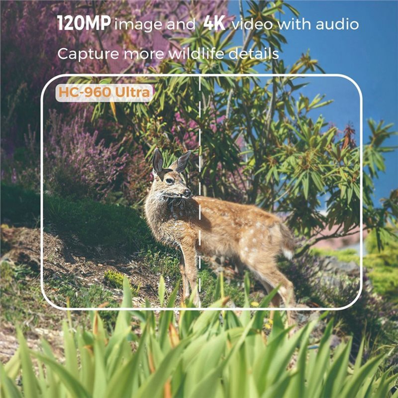 AS95-Outdoor 4G 120MP 4K Live  - مراجعة Hunting And Outdoor Shows وسعره