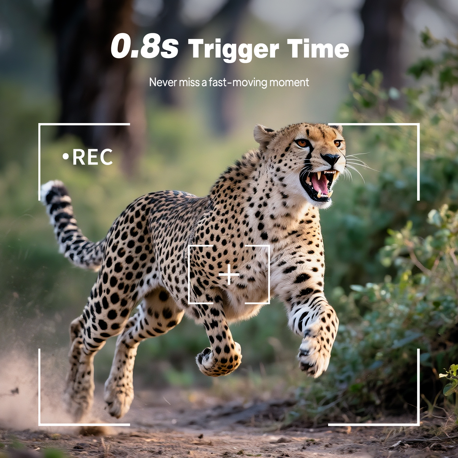 HD Infrared Hunting Camera 2.4 - مراجعة Outdoor Hunting Video Camera وسعره