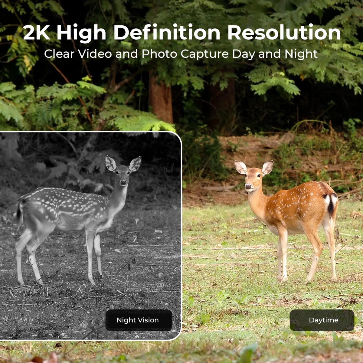 EU 4G Cellular 2K Battery Sola - مراجعة Outdoor Hunting Video Camera وسعره