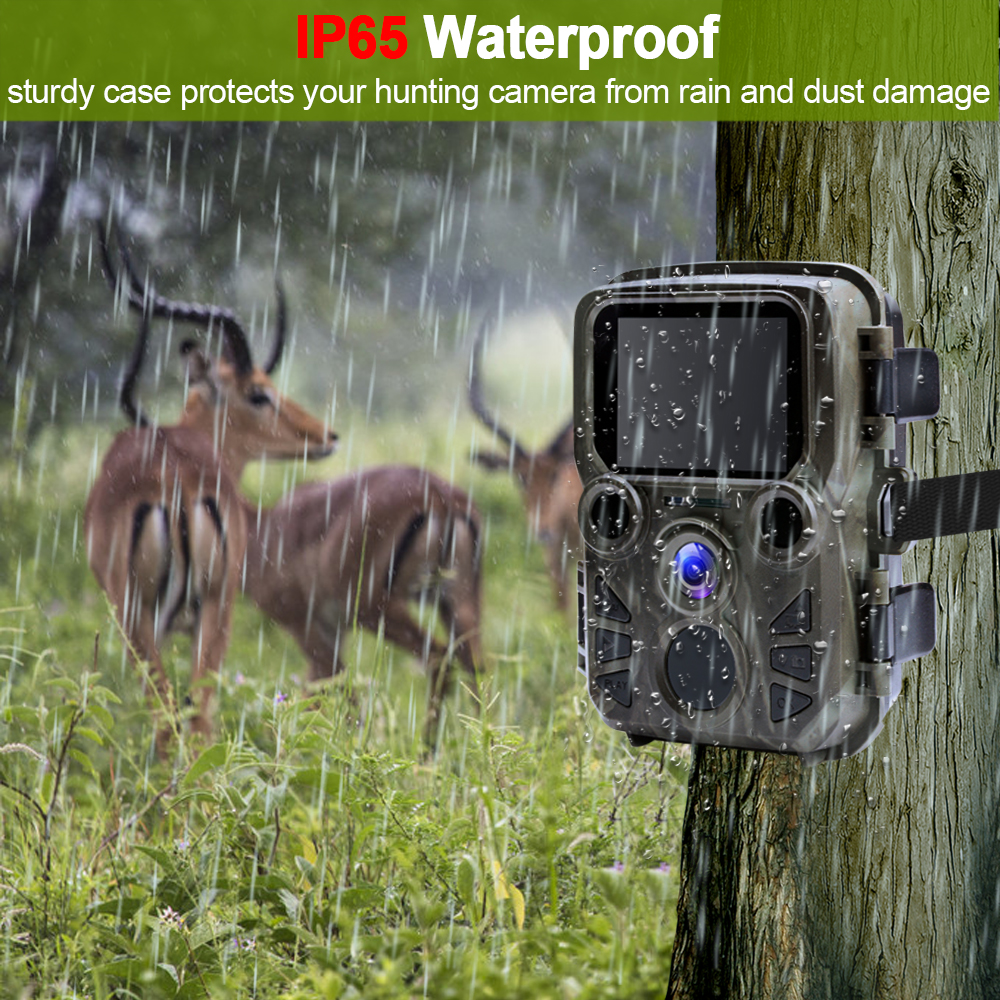 Mini Trail Game Camera Night V - مراجعة Outdoor Hunting Video Camera وسعره