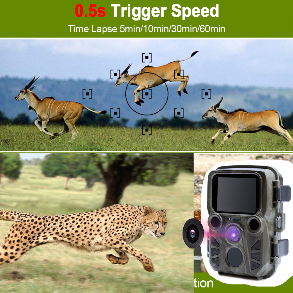 Mini Trail Game Camera Night V - مراجعة Outdoor Hunting Video Camera وسعره