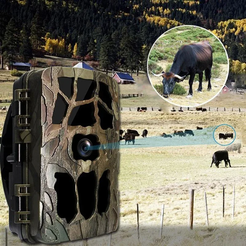 H982 IP66 Waterproof 4K Outdoo - مراجعة Outdoor Hunting Video Camera وسعره