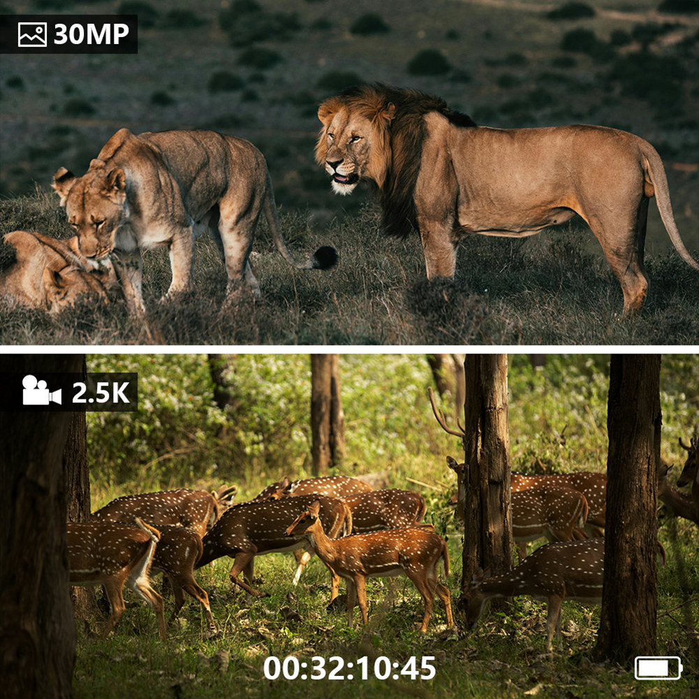 Digital Night-Vision Device Da - مراجعة Outdoor Hunting Digital Night Vision وسعره